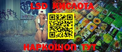 дмт Ярославль