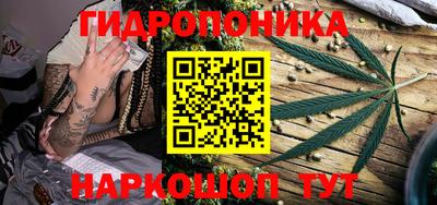 дмт Ярославль